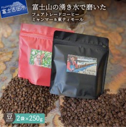 【ふるさと納税】フェアトレードコーヒー　ミャンマー＆東ティモール(豆) 海外支援 コーヒー 珈琲 ブレンド豆 コーヒー豆 フェアトレード