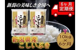 【ふるさと納税】【定期便6カ月連続お届け】新潟県産こしいぶき　5kg×2