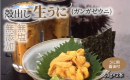 【ふるさと納税】S002-024_殻出し生うに（ガンガゼウニ）50g×2本 うに用醤油付