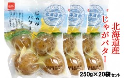 【ふるさと納税】工場直送！北海道産 じゃがバター 1ケース (20袋) [0777]