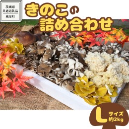 【ふるさと納税】きのこ の 詰め合わせ Lサイズ( 約2kg ) （茨城県共通返礼品：城里町） キノコ セット 野菜 低カロリー ダイエット デト