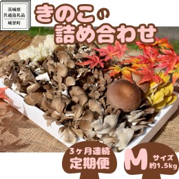 【ふるさと納税】【 3ヶ月連続定期便 】きのこ の詰め合わせ Mサイズ ( 約1.5kg ) （茨城県共通返礼品：城里町） キノコ セット 野菜 低