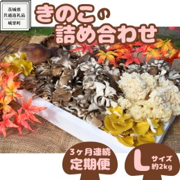 【ふるさと納税】【3ヶ月定期便】きのこ の 詰め合わせ Lサイズ( 約2kg ) （茨城県共通返礼品：城里町） キノコ セット 野菜 低カロリー 