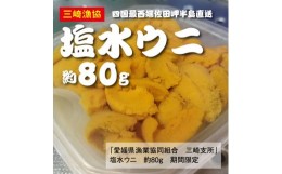 【ふるさと納税】【数量限定】【10/15までの期間限定受付】佐田海士の塩水ウニ（赤ウニ）約80g※北海道・東北地方・沖縄・離島への配送不