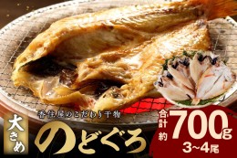 【ふるさと納税】山陰浜田 香住屋のこだわり干物「大きめのどぐろ一夜干し」（3〜4尾） 魚介類 のどぐろ 一夜干し 干物 ふるさと納税 の