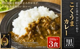 【ふるさと納税】百年の恵み おおいた和牛こくうまカレー(黒) 3個セット