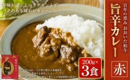 【ふるさと納税】百年の恵み おおいた和牛旨辛カレー(赤) 3個セット