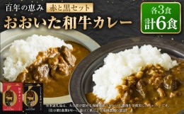 【ふるさと納税】百年の恵み おおいた和牛カレー 赤と黒セット 各3個 計6個