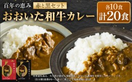 【ふるさと納税】百年の恵み おおいた和牛カレー 赤と黒セット 各10個 計20個