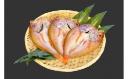 【ふるさと納税】のどぐろ一夜干し 200g〜240g（３枚） 干物 ひもの 一夜干し のどぐろ 魚 のどぐろ一夜干し 【962】