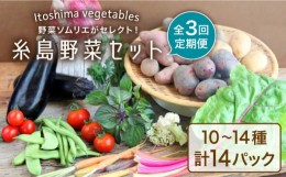 【ふるさと納税】【全3回定期便】旬を味わう 糸島 野菜 セット 10〜14種 （14パック） / イタリア野菜 オーガニック 野菜ソムリエ 松永 