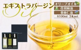 【ふるさと納税】エキストラバージン（EXV）オリーブオイル・荏胡麻油・亜麻仁油100ml3本入