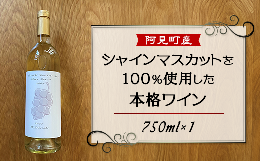 【ふるさと納税】11-04 白 ワイン 100％ 国産 シャインマスカット 2022年醸造 H.Ichizaki