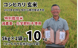 【ふるさと納税】特別栽培米 コシヒカリ 玄米 10kg （5kg×2袋） 【2023年10月上旬頃から順次発送予定】 令和5年産 2023年産 小分け 単一