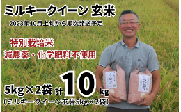 【ふるさと納税】特別栽培米 ミルキークイーン 玄米 10kg （5kg×2袋） 【2023年10月上旬頃から順次発送予定】 令和5年産 2023年産 小分