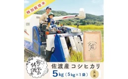 【ふるさと納税】”ベストファーマー認証受賞歴”  佐渡島産コシヒカリ 玄米5Kg×1袋【令和5年産】特別栽培米