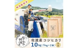 【ふるさと納税】”ベストファーマー認証受賞歴”  佐渡島産コシヒカリ 玄米10kg(5kg×2袋)【令和5年産】特別栽培米