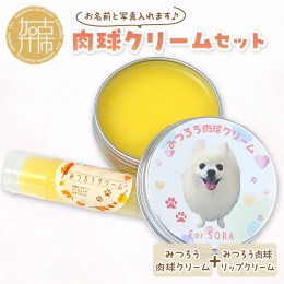 【ふるさと納税】肉球クリームセット うちの子専用肉球クリーム20g+リップクリーム1個 《 犬 ケア みつろう リップクリーム クリーム セ