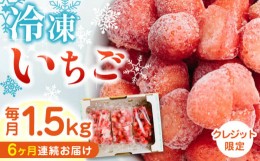 【ふるさと納税】【全6回定期便】【数量限定】 熊本県産 冷凍 いちご 計1.5kg ( 500g × 3P ) 農園直送 産地直送 熊本県産 山都町産 イチ