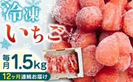 【ふるさと納税】【全12回定期便】【数量限定】熊本県産 冷凍 いちご 計1.5kg ( 500g × 3P ) 農園直送 産地直送 熊本県産 山都町産 イチ