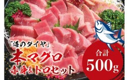 【ふるさと納税】本マグロ（養殖）トロ＆赤身セット 500g 【5月発送】高級 クロマグロ  中トロ 中とろ まぐろ マグロ 鮪 刺身 赤身 柵 じ