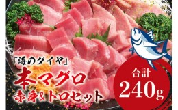 【ふるさと納税】本マグロ（養殖）トロ＆赤身セット 240g【6月発送】 / 高級 クロマグロ 中トロ 中とろ まぐろ マグロ 鮪 刺身 赤身 柵 