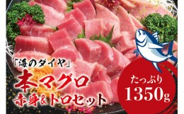 【ふるさと納税】本マグロ（養殖）トロ＆赤身セット 1350g 【6月発送】高級 クロマグロ  中トロ 中とろ まぐろ マグロ 鮪 刺身 赤身 柵 