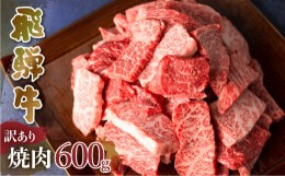 【ふるさと納税】訳あり 飛騨牛 焼肉 切落し 600g 切り落とし 部位お任せ 肉 牛肉 お肉 和牛 冷凍 岐阜県 等級 お任せ BBQ 国産 不揃い 