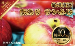 【ふるさと納税】[No.5657-2343]訳あり サンふじ約10kg（約22〜40玉）家庭用《信州グルメ市場》■2024年〜2025年発送■※11月中旬頃〜1月