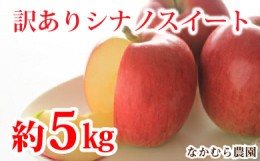 【ふるさと納税】[No.5657-2407]【訳あり】シナノスイート約5kg（約10〜18玉）《なかむら農園》■2024年発送■※10月上旬頃〜10月下旬頃