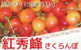 【ふるさと納税】[No.5657-2556]紅秀峰 さくらんぼ 訳あり 約1kg（バラ詰）《黒岩果樹園》■2024年発送■※6月下旬頃〜7月上旬頃まで順次