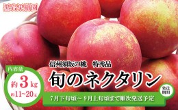 【ふるさと納税】[No.5657-2567]信州須坂の桃 旬のネクタリン 特秀品 約3kg(約11〜20玉) 《黒岩果樹園》■2024年発送■※7月下旬頃〜9月