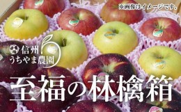 【ふるさと納税】[No.5657-2956]至福の林檎箱A（旬のりんご 約2.5〜3kg 約7〜9玉入り）《信州うちやま農園》■2024年発送■※10月上旬頃