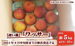 【ふるさと納税】[No.5657-2961]【硬い桃】ワッサー約5kg（約14〜22玉）《かないさんちのまごころ農園》■2024年発送■※7月下旬頃〜8月