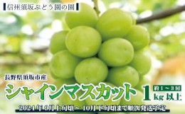 【ふるさと納税】[No.5657-3467]【先行予約】長野県須坂市産シャインマスカット約1〜3房　1kg以上《信州須坂ぶどう園の園》■2024年発送