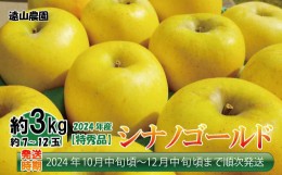 【ふるさと納税】[No.5657-3503]【先行予約】2024年産【特秀品】シナノゴールド約3kg（約7〜12玉）《遠山農園》■2024年発送■※10月中旬