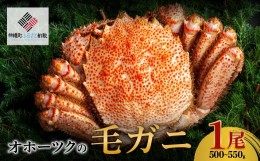 【ふるさと納税】オホーツクの毛ガニ　[500g〜550g×1尾]【配送不可地域：離島】 ふるさと納税 人気 おすすめ ランキング 毛がに 毛ガニ 