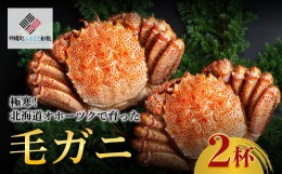 【ふるさと納税】＜限定＞極寒！北海道オホーツクで育った ”毛ガニ” 2杯 かに カニ 蟹 毛ガニ 北海道 美幌町 送料無料 BHRI032