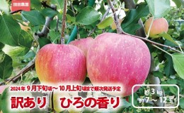 【ふるさと納税】[No.5657-3758]訳あり ひろの香り 約3kg（約7〜12玉）《田田農園》■2024年発送■※9月下旬頃〜10月上旬頃まで順次発送