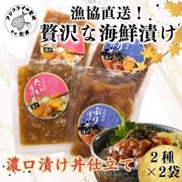 【ふるさと納税】漁協直送！贅沢な海鮮漬け　2種×2袋(濃口漬け丼仕立て)【A7-050】