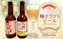 【ふるさと納税】梅クラフトビール 330ml×6本