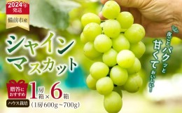 【ふるさと納税】【2024年発送】岡山県備前市産　樹上完熟「シャインマスカット」（ハウス栽培）1房箱×6箱セット