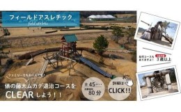 【ふるさと納税】 希望が丘文化公園 フィールド アスレチック 入場券 チケット ( 大人チケット 2枚 セット )  フィールドアスレチック ア