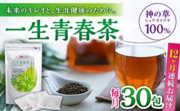 【ふるさと納税】【全12回定期便】一生青春茶 30包 サプリ サプリメント 神の草 日本山人参 ヒュウガトウキ ティーバッグ【ひなたふぁー