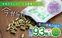 【ふるさと納税】【全6回定期便】今からだ 93粒入 サプリ サプリメント カプセル ビタミン カルシウム マグネシウム ミネラル アミノ酸 