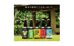 【ふるさと納税】奄美クラフトビール〈5種〉5本セット - クラフトビール ブラウンエール ヴァイツェン ペールエール アイピーエー 330ml 