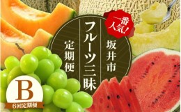 【ふるさと納税】【先行予約】【定期便 6回コース】 坂井市フルーツ三昧！！定期便B【2025年6月上旬以降順次発送開始予定】【定期便 くだ