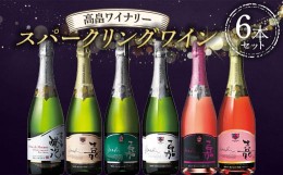 【ふるさと納税】高畠ワイナリー スパークリングワイン 6本セット×750ml 酒 自宅用 パーティ ギフト 東北 山形県 高畠町 F20B-932