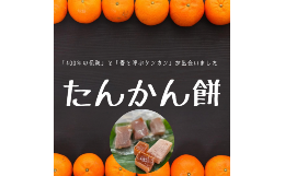 【ふるさと納税】宇検村産たんかん100％使用「たんかん餅」(15個入り×6パック)