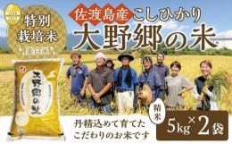 【ふるさと納税】【令和５年産】佐渡島産 特別栽培米こしひかり「大野郷の米」精米5kg×2袋